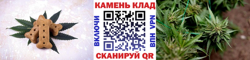 наркотики  Нововоронеж  shop какой сайт  Canna-Cookies конопля 