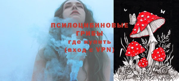 гашик Нефтегорск