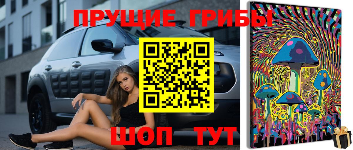 МЕФ Нововоронеж