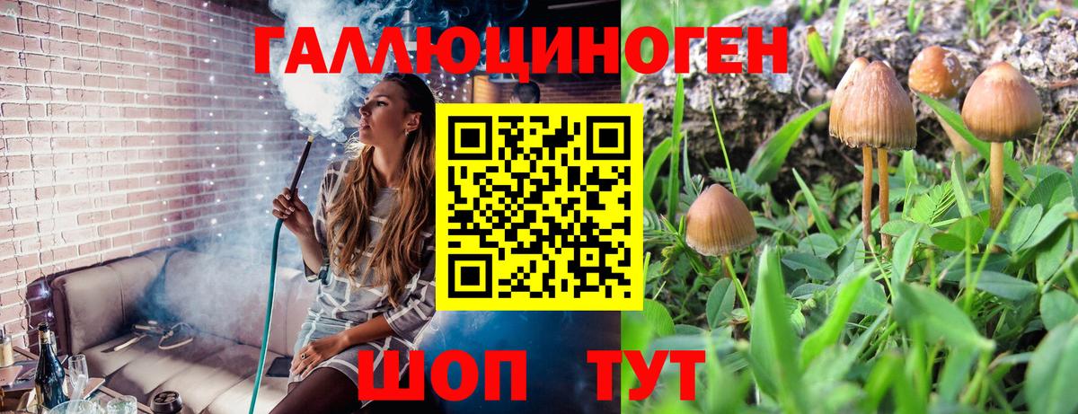 Нововоронеж  Галлюциногенные грибы Cubensis  Вход с VPN  Галлюциногенные грибы Magic Shrooms 